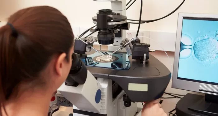 Female Fertility Tests: A Comprehensive Tutorial
