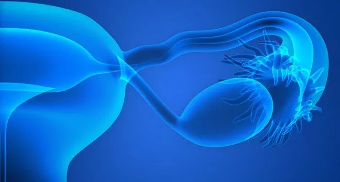 The Power of CoQ10 for Fertility: A Complete Overview