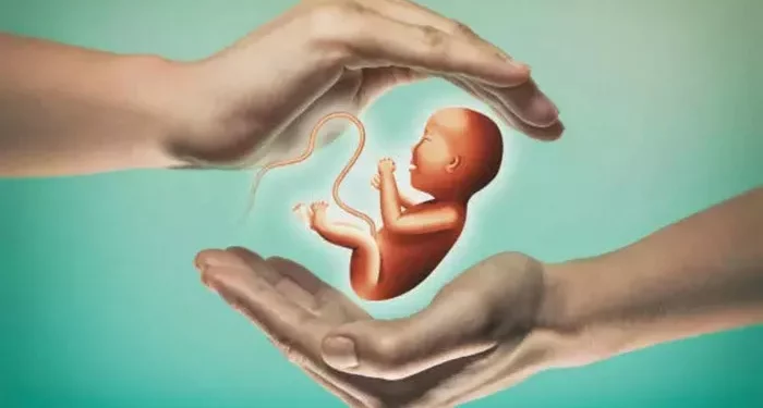 Intrauterine Insemination: Everything You Need To Know