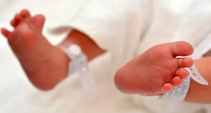A Comprehensive Guide to Male Fertility Testing