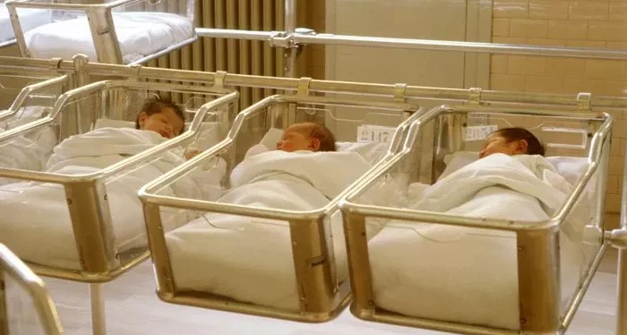 What Are the Main Determinant Factors of Fertility Rate?