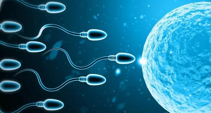 A Full Guide to Hypospermia: Causes, Diagnosis, and Treatment