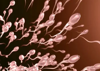 Non-Obstructive Azoospermia: Treatment Options