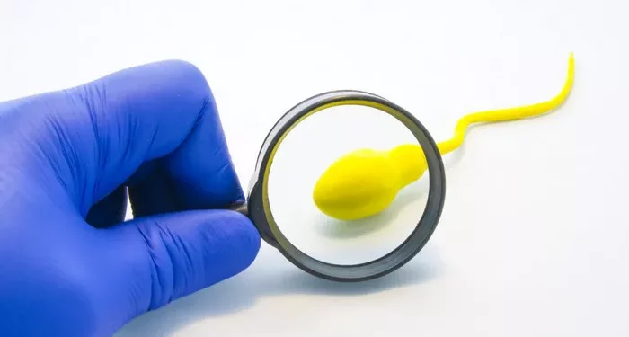 What is Undescended Testicle Infertility: A Quick Guide