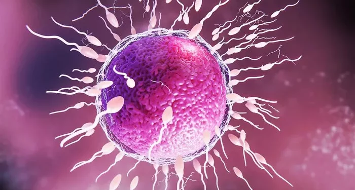 The Treatment Options of Severe Asthenoteratozoospermia