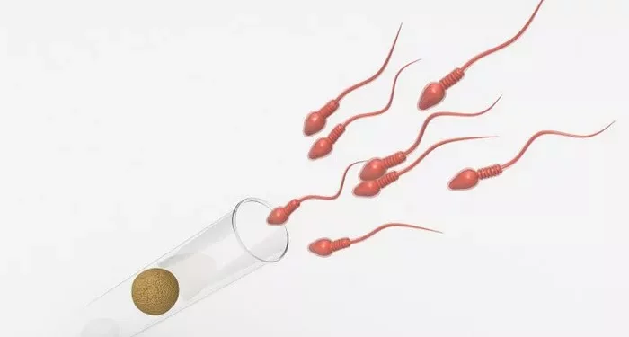 The Impact of Smoking on Male Fertility: Everything You Need To Know