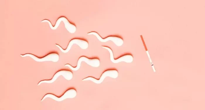Causes & Treatments of Low Seminal Fluid: All You Need to Know