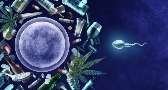 The Impact of Alcohol on Male Fertility: A Complete Overview