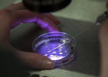 Top 10 IVF Clinics in the World: Updated List 2024