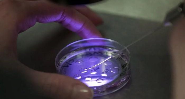 Top 10 IVF Clinics in the World: Updated List 2024