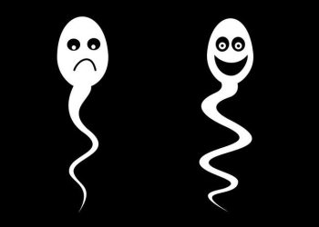 What is Necrospermia: Dead Sperm and Male Infertility