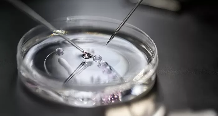 How Much Do IVF Shots Cost: A Detailed Breakdown