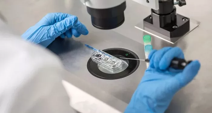 Penn Fertility’s IVF Success Rates: Everything You Need To Know