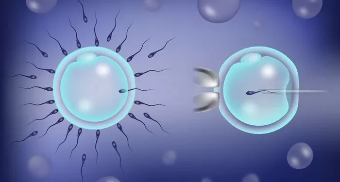 The Cost of Genetic Testing in IVF: A Complete Overview