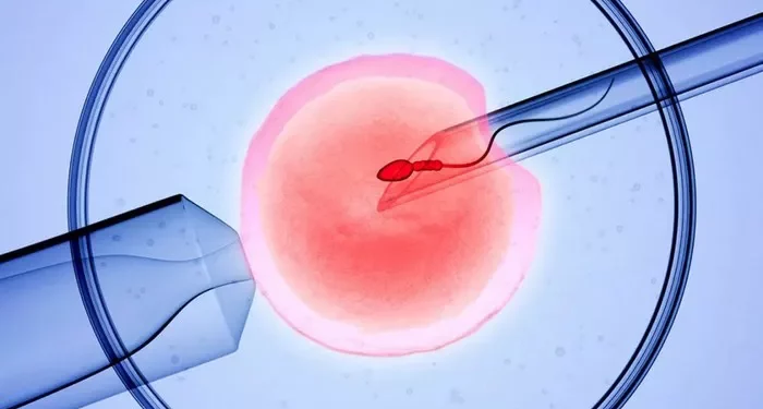 Causes & Remedies of IVF Miscarriages: A Full Guide