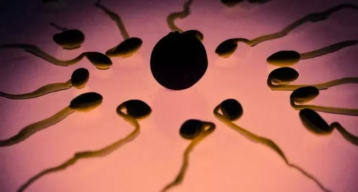 Asthenospermia: Causes & Risk Factors You Need to Know