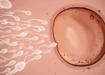 Common Treatments for Mild Oligoasthenozoospermia