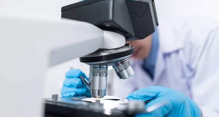 Teratozoospermia: Can it be Cured?
