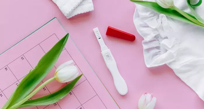 Best Ovulation Test: A Guide for Trying to Conceive