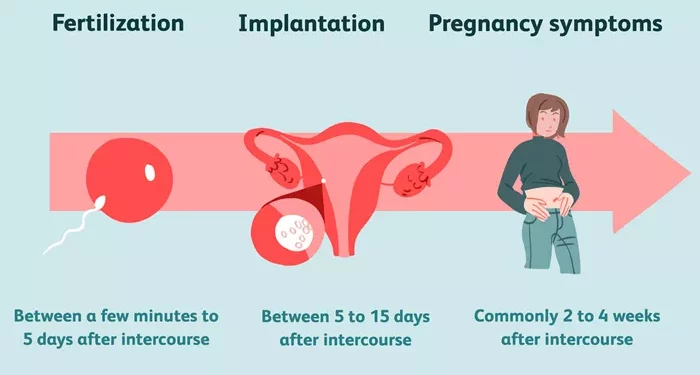 Chance of Conception