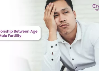 Male Age and Fertility