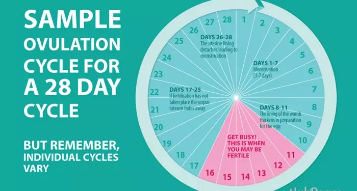 check for ovulation