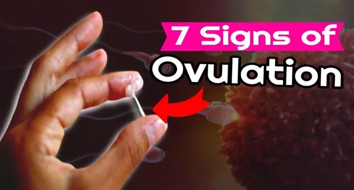how do you know if you are ovulating