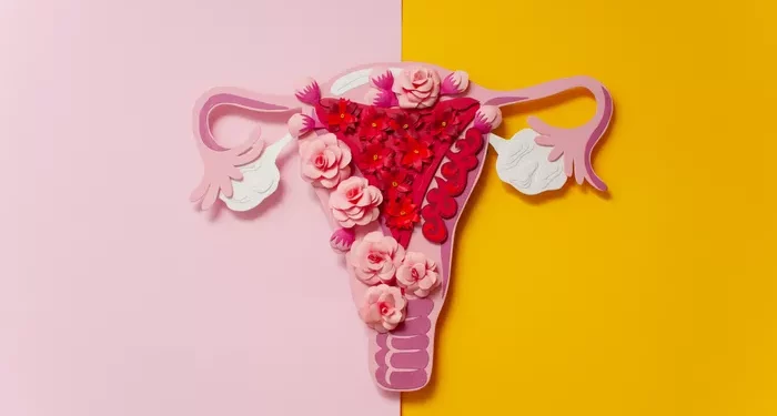 Endometriosis and Infertility: How It Impacts Conception?