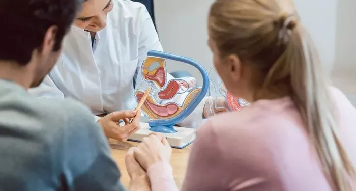 The Fertility Testing for Women: A Comprehensive Tutorial
