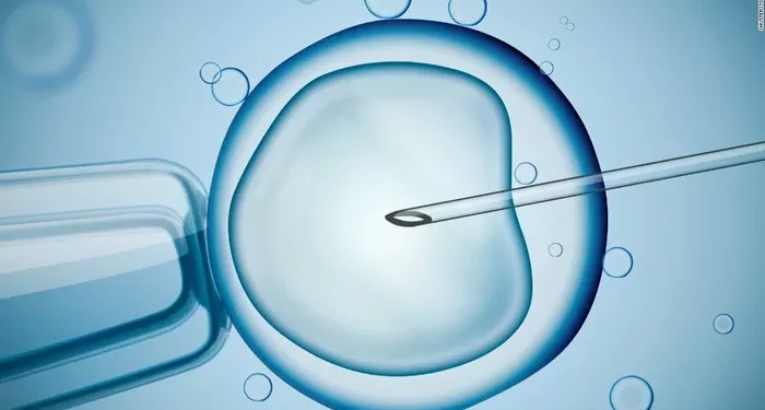Mini IVF: A Gentler Approach to In Vitro Fertilization