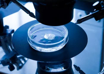 Success of IVF in First Attempt: Tips & Methods