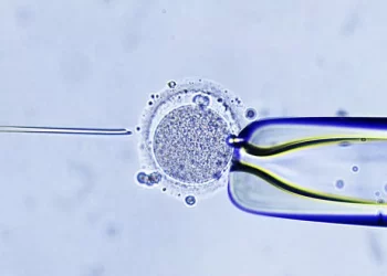 Preparing for IVF: A Comprehensive Guide for Patients