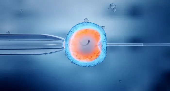 How to Choose the Right IVF Center: A Guide for Intended Parents