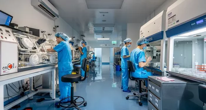 The IVF Success Rates: A Full Guide for Patients