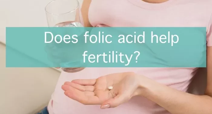 can folic acid help you conceive