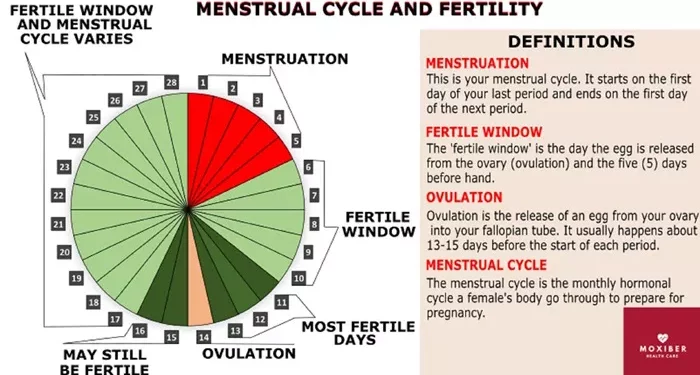 when can a woman get pregnant after menstruation