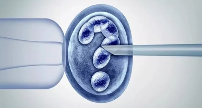 How Much Does IVF Really Cost?